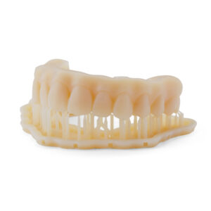 Premium Teeth Resin